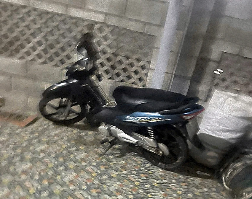 trom2.jpg