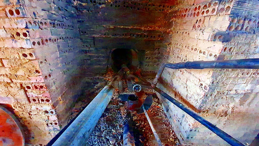 daunhotgia (2).jpg