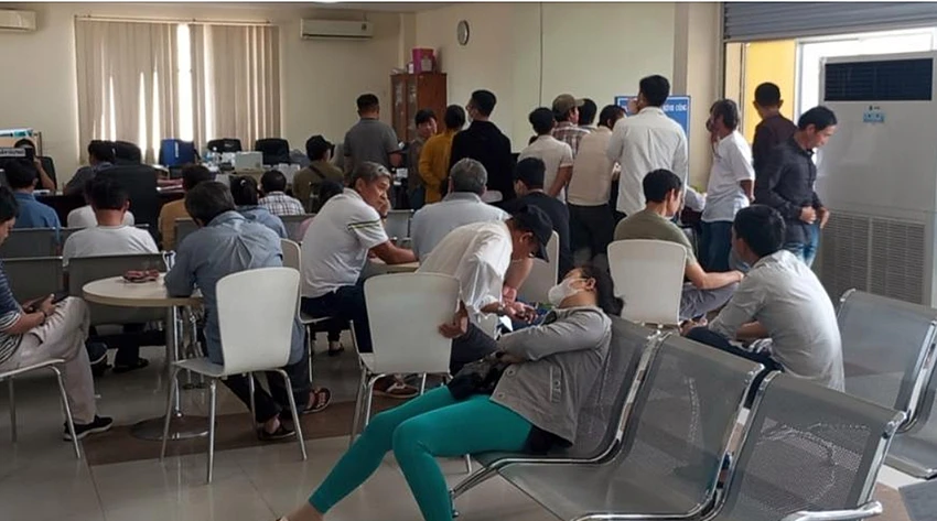 giấy phép lái xe
