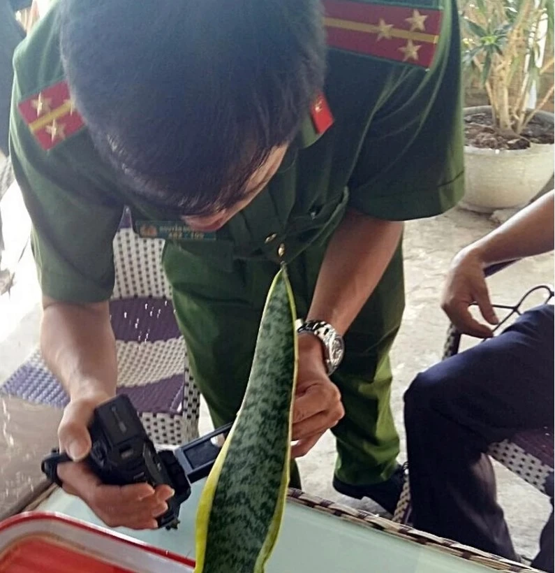 dong-den3.jpg