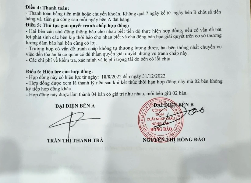 thanh long