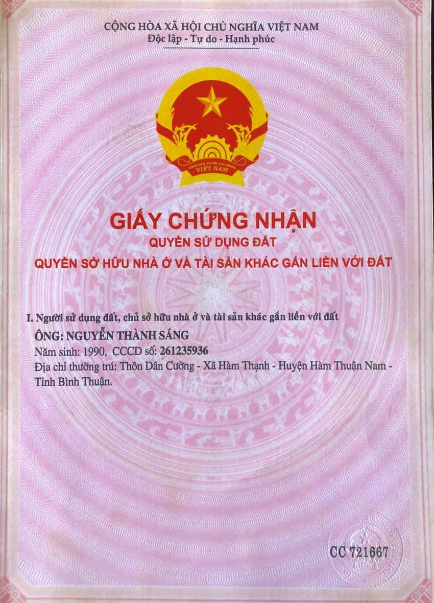so-hong (4).jpg