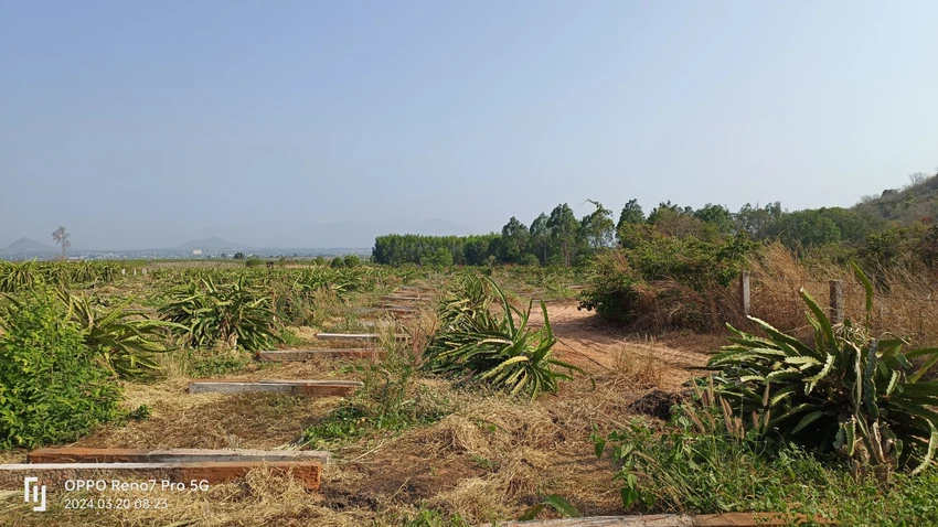tuyến đường
