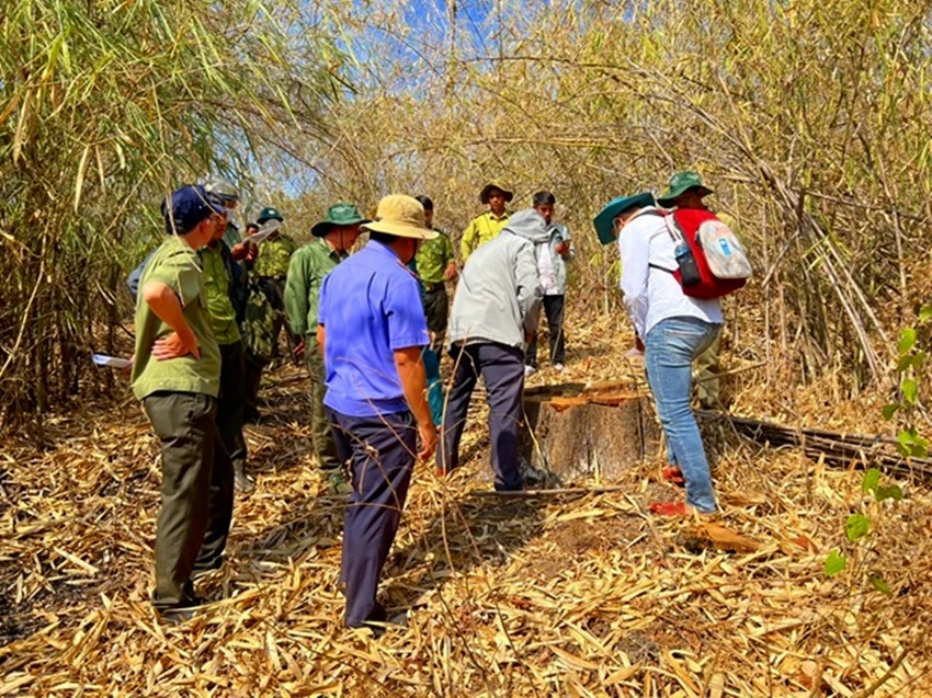 lâm tặc