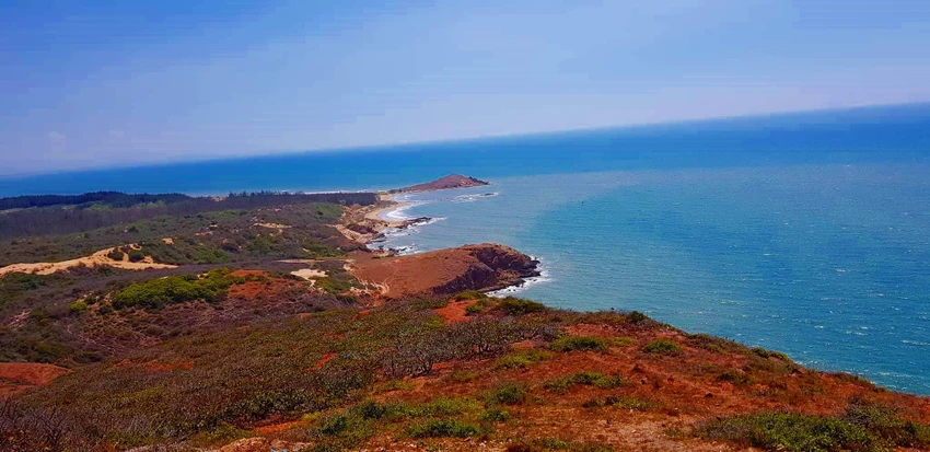 dự án