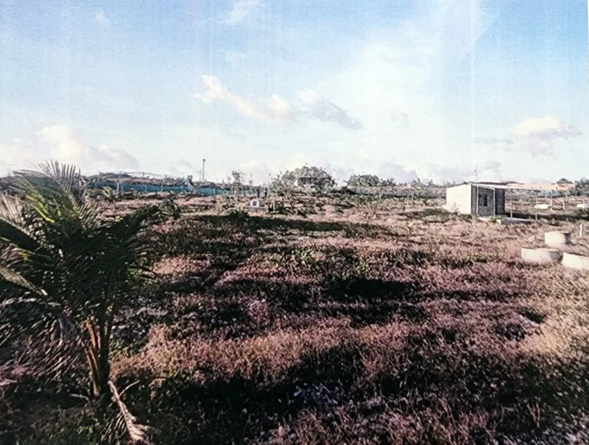 lấn chiếm