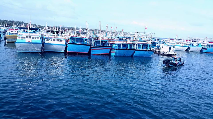 đảo Phú Quý
