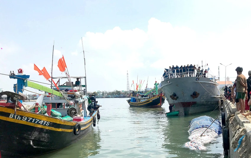 rơi xuống biển mất tích