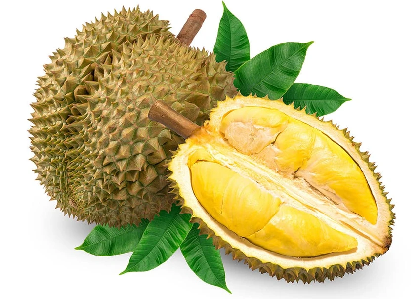 trái cây tươi