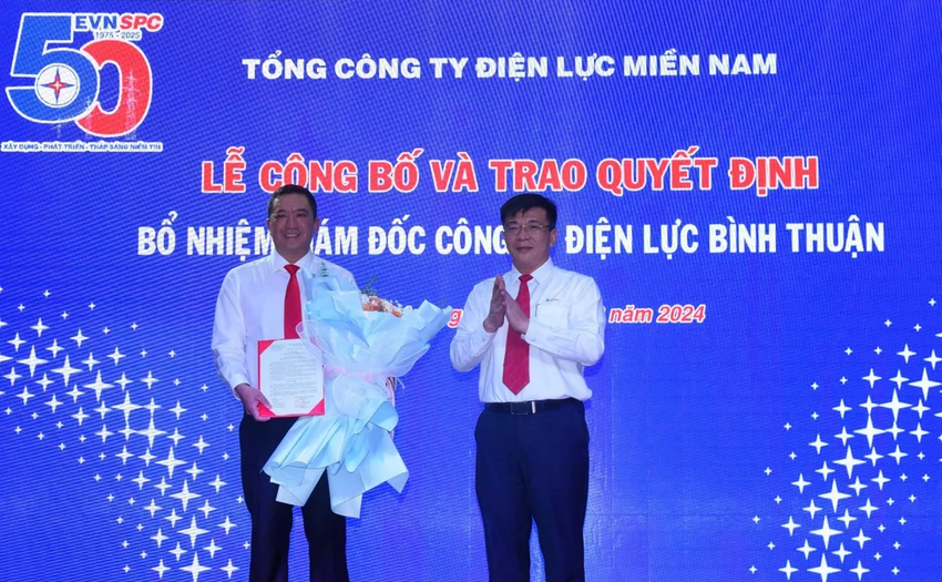 công ty điện lực