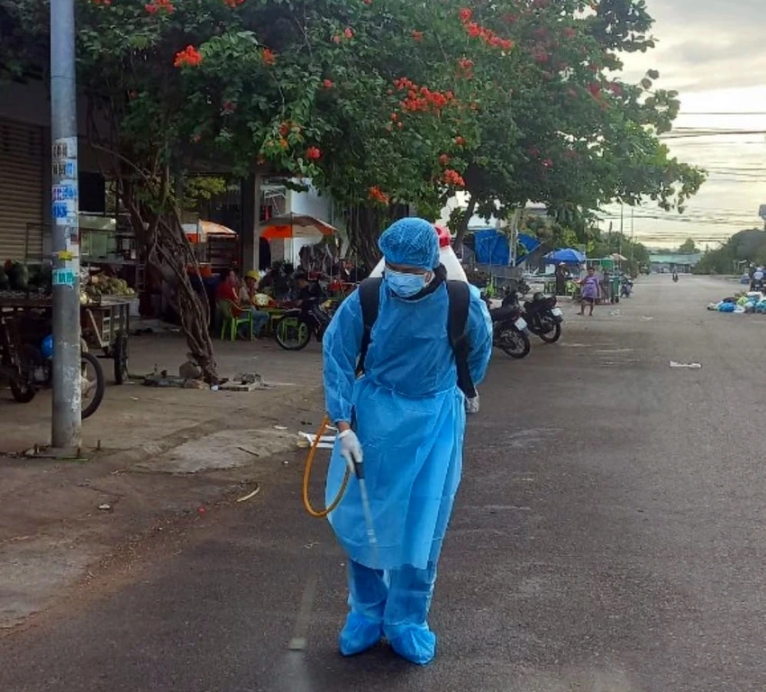 mèo hoang cào