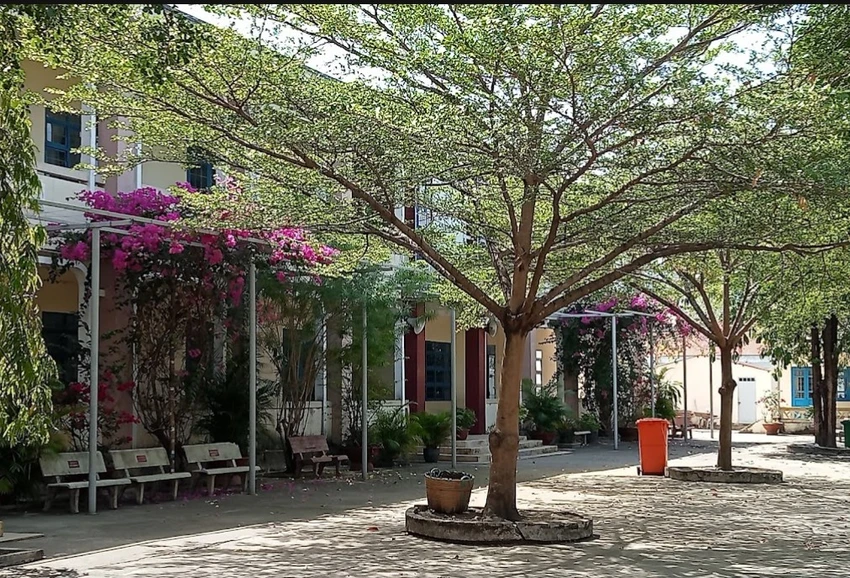 hạ bậc lương