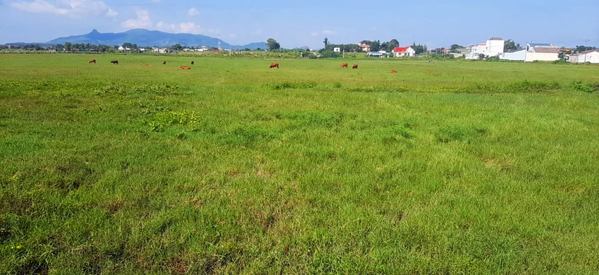 Khu dân cư