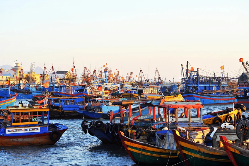 hết hạn đăng kiểm