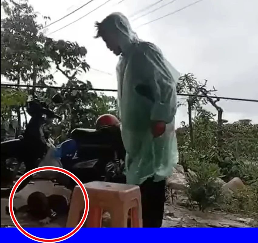 bé trai 2 tuổi