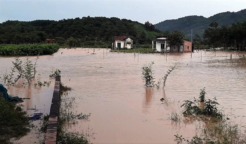 hai-cau-chau (1).jpg
