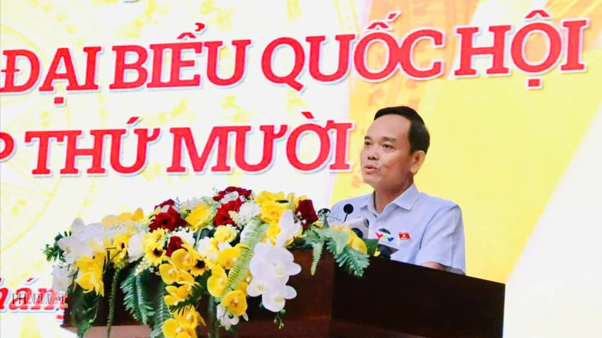 tran-luu-quang.jpg