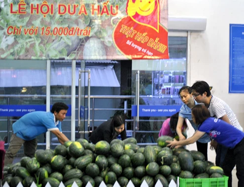 Dưa hấu thừa ế, chất đống vì sản xuất thiếu quy củ ảnh 2 29-3-Anh-9-Dua-hau-9711-1396140521.jpg