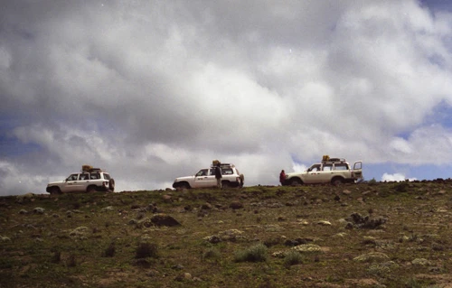 dodola-dinsho-4796-1397204049.jpg