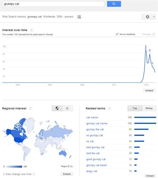 Google, ứng dụng
