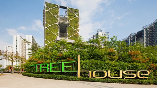 tree-house-cdl-4322-1402541157.png