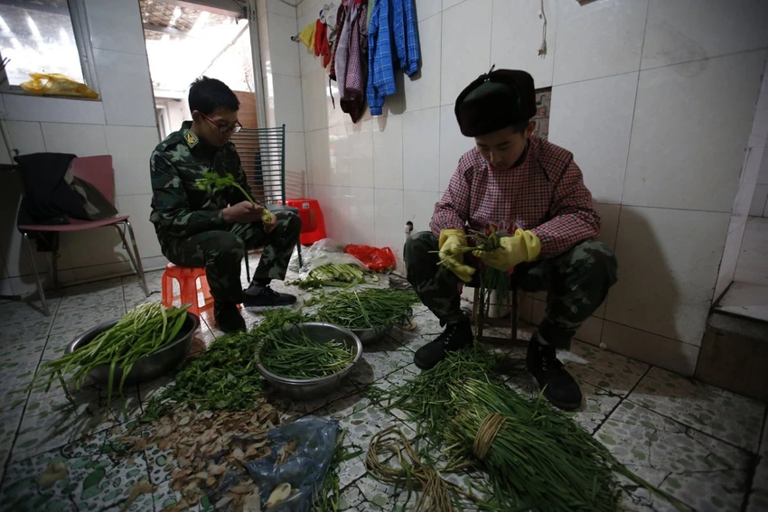 Hai nam thanh niên đang học cách nhặt rau. Hai nam thanh niên đang học cách nhặt rau.