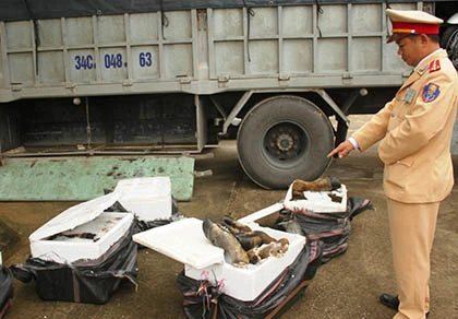 Thu giữ gần 8 tạ chân trâu bò bẩn đưa vào TP. HCM tiêu thụ ảnh 1