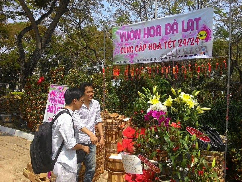 Giá cả các loại hoa tết Ất Mùi 2015 ảnh 12 Giá cả các loại hoa tết Ất Mùi 2015 ảnh 12