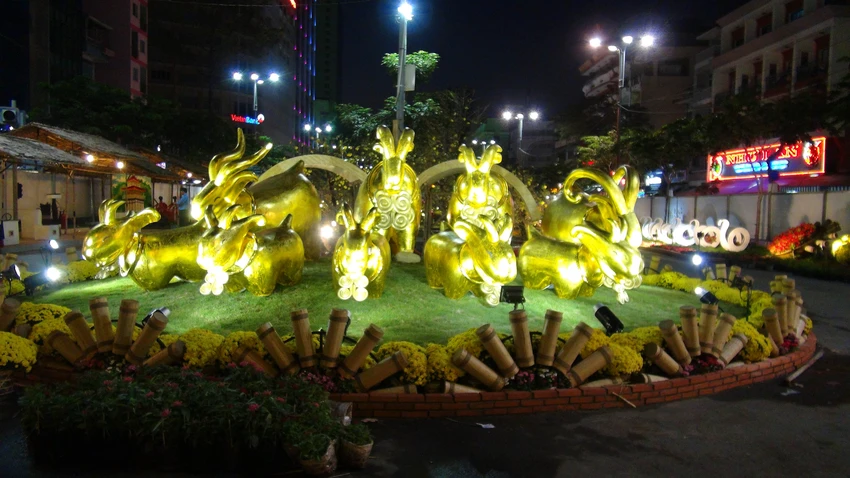 Ngắm đường hoa Hàm Nghi trước giờ khai mạc ảnh 14 Ngắm đường hoa Hàm Nghi trước giờ khai mạc ảnh 14