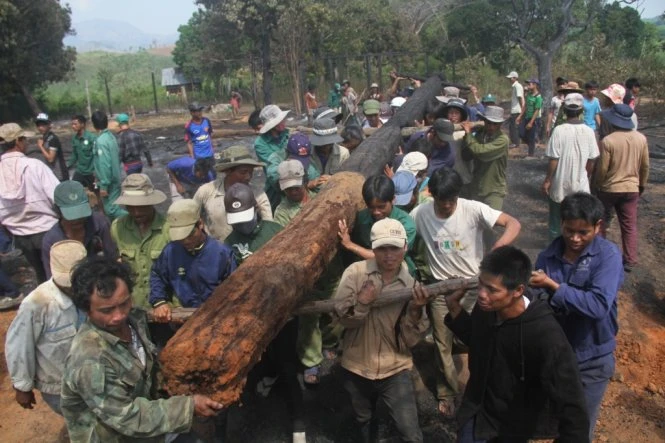 Gia Lai: Lửa thiêu rụi nhiều nhà ở làng Bana trăm tuổi ảnh 1 Người dân làng Kon Sơ Lăl cũ khiêng những cây gỗ cháy còn xót lại. Ảnh: THÙY DUNG