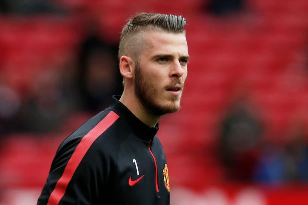 Louis Van Gaal tự tin thuyết phục De Gea ở lại M.U ảnh 1 Louis Van Gaal tự tin thuyết phục De Gea ở lại M.U ảnh 1