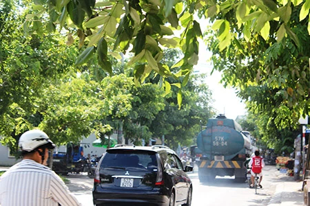 Xe ben, xe bồn, container ngang nhiên đi vào đường cấm ảnh 10 Xe ben, xe bồn, container ngang nhiên đi vào đường cấm ảnh 10