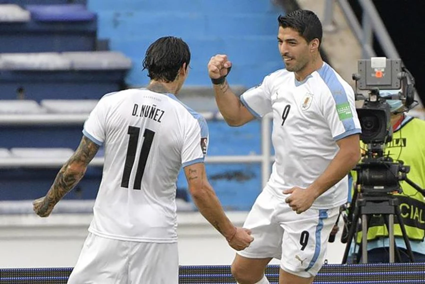 Người cũ và người mới của Liverpool, Luis Suarez và Darwin Nunez là niềm hy vọng dẫn dắt Uruguay đến vinh quang. ẢNH: GETTY Người cũ và người mới của Liverpool, Luis Suarez và Darwin Nunez là niềm hy vọng dẫn dắt Uruguay đến vinh quang
