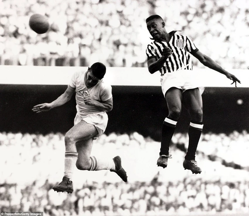 Pele chỉ chơi cho hai CLB trong sự nghiệp của mình, đó là Santos (Brazil) và New York Cosmos (Mỹ). Đây là bức ảnh Pele bật nhảy đánh đầu ghi bàn cho Santos ở giải vô địch Sao Paulo năm 1959. ẢNH: GETTY Pele chỉ chơi cho hai CLB trong sự nghiệp của mình, đó là Santos (Brazil) và New York Cosmos (Mỹ). Đây là bức ảnh Pele bật nhảy đánh đầu ghi bàn cho Santos ở giải vô địch Sao Paulo năm 1959. ẢNH: GETTY