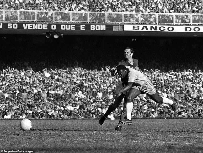 Tại Rio de Janeiro vào ngày 18-7-1971, Pele chơi trận đấu cuối cùng cho đội tuyển Brazil trong trận gặp Nam Tư. ẢNH: GETTY Tại Rio de Janeiro vào ngày 18-7-1971, Pele chơi trận đấu cuối cùng cho đội tuyển Brazil trong trận gặp Nam Tư. ẢNH: GETTY