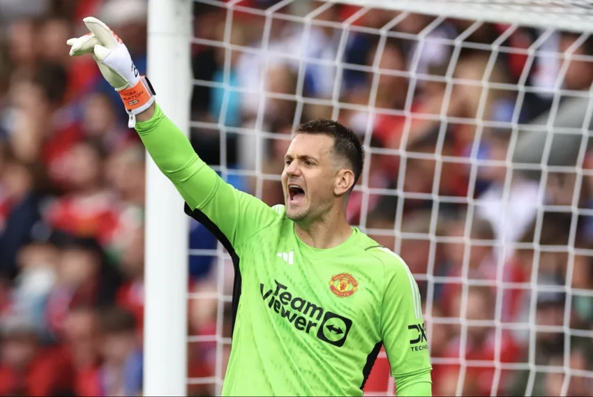 tom-heaton.png