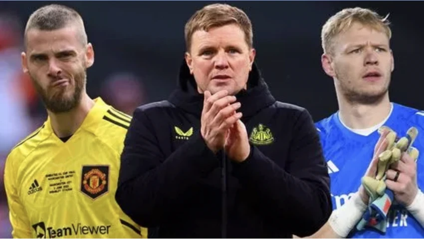 newcastle-de-gea.png