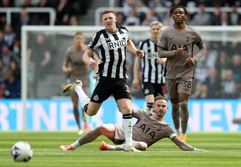tottenham-premier-league.jpeg