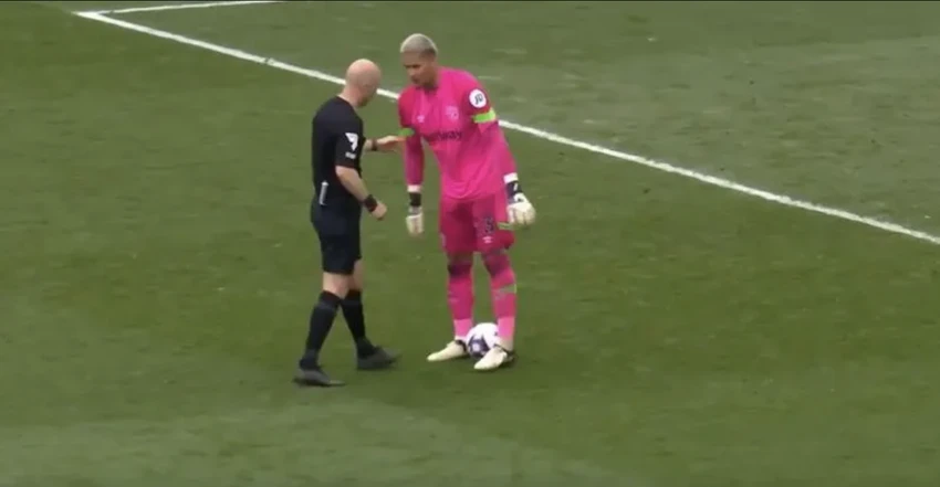 taylor-Areola.png