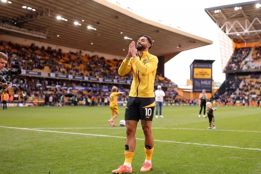 wolves-cunha.jpg
