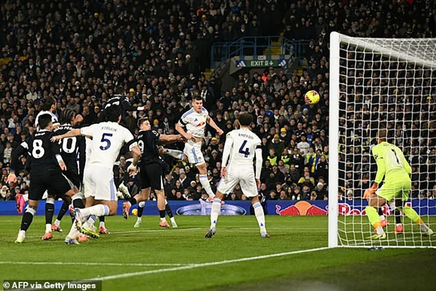 chelsea-xau-ho.jpg