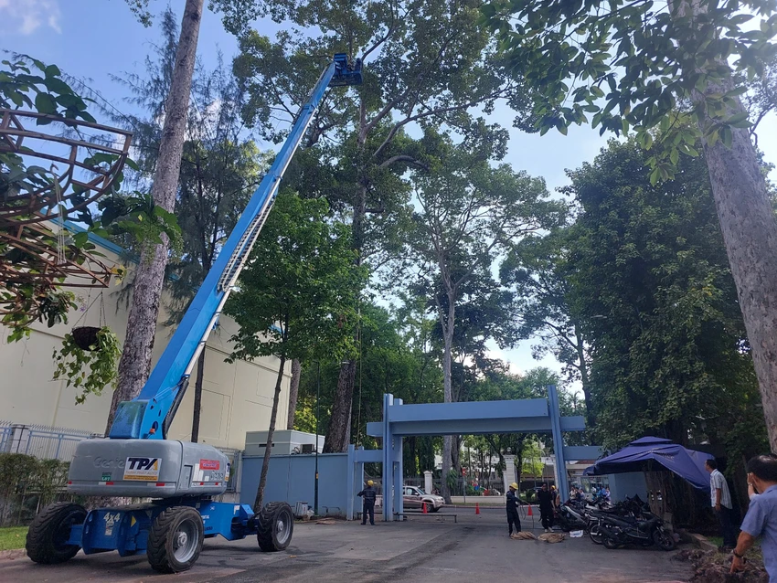 kiem-tra-cay-xanh-1.jpg