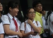 Con chim sẻ 'chết trong đêm' vào đề văn tại Đà Nẵng