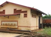 Truy tố bảo vệ hiếp dâm học sinh tiểu học