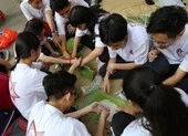 Học sinh Trưng Vương gói bánh chưng tặng trẻ em mồ côi