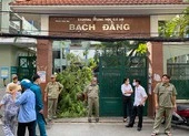 Vụ cây phượng bật gốc: Hiệu trưởng nhận trách nhiệm