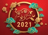 4 nguyên tắc vàng đón Tết an toàn trong đại dịch COVID-19 