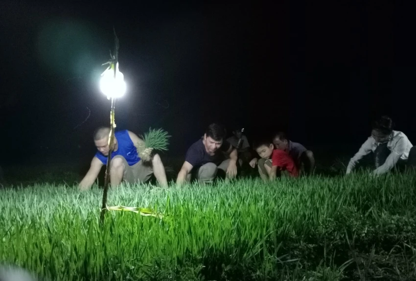 "Ban ngày trời nắng nóng. Hơn nữa, mấy nay đang bơm nước nên mọi người tận dụng thời gian đặc biệt buổi tối mát mẻ rủ nhau đi nhổ mạ để có mạ cấy. Hai người nhổ mạ đêm (2-3 tiếng) sẽ đủ mạ cho 2 người cấy cả ngày. Với tình hình này, nếu ruộng đủ nước, khoảng 3-5 ngày (tùy diện tích mỗi nhà) sẽ xong mùa cấy" - anh Hồ Sỹ Đức (thứ 2 từ trái qua) chia sẻ. "Ban ngày trời nắng nóng. Hơn nữa, mấy nay đang bơm nước nên mọi người tận dụng thời gian đặc biệt buổi tối mát mẻ rủ nhau đi nhổ mạ để có mạ cấy. Hai người nhổ mạ đêm (2-3 tiếng) sẽ đủ mạ cho 2 người cấy cả ngày. Với tình hình này, nếu ruộng đủ nước, khoảng 3-5 ngày (tùy diện tích mỗi nhà) sẽ xong mùa cấy" - anh Hồ Sỹ Đức (thứ 2 từ trái qua) chia sẻ.