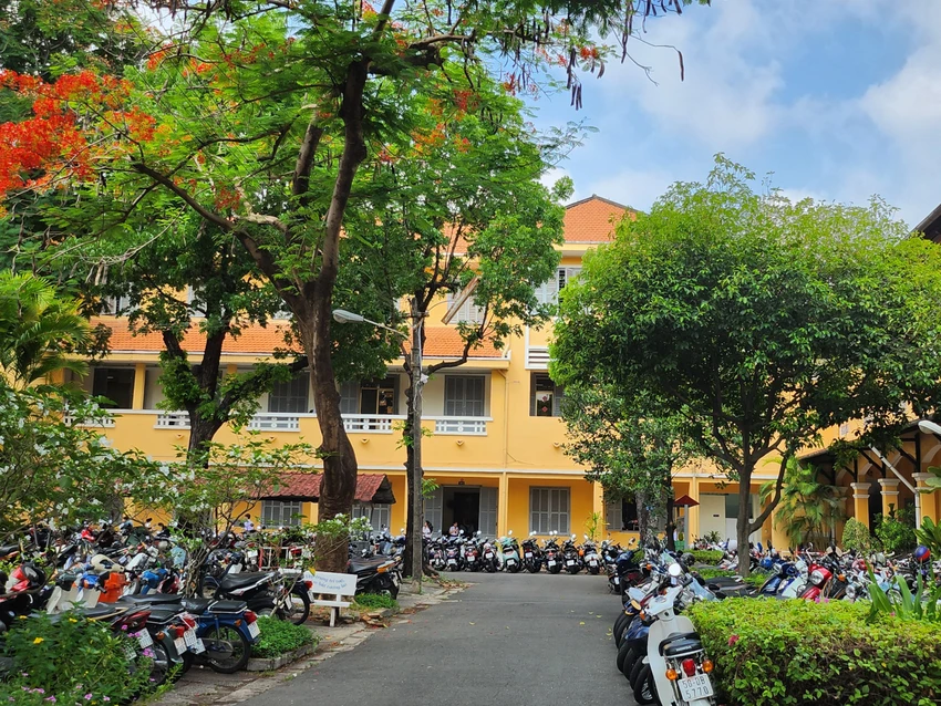 Cây phượng nở đỏ rực báo hiệu mùa thi, mùa chia tay.