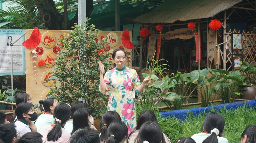 cay-lua-giua-san-truong-13.JPG